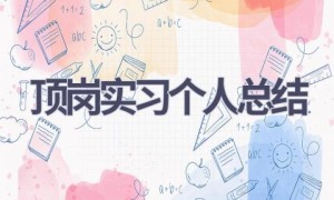顶岗实习个人总结(16篇范文）