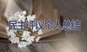 民主评议个人总结(8篇范文）