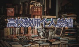 高校教师个人总结(17篇范文）