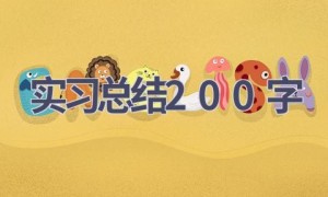 实习总结200字(17篇范文）