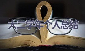 大二学年个人总结(16篇范文）