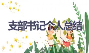 支部书记个人总结(18篇范文）