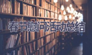 春节慰问活动总结(17篇范文）