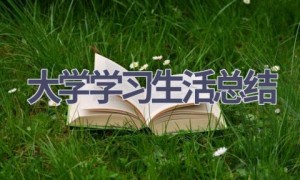 大学学习生活总结(9篇范文）