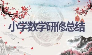 小学数学研修总结(14篇范文）