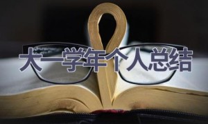 大一学年个人总结(12篇范文）