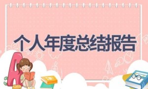 个人年度总结报告(16篇范文）