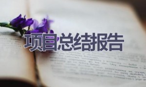 项目总结报告(20篇范文）
