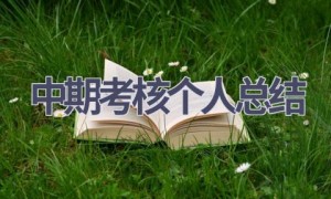 中期考核个人总结(14篇范文）