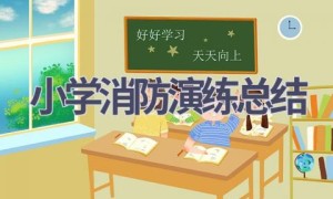 小学消防演练总结(21篇范文）