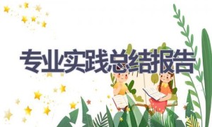 专业实践总结报告(14篇范文）
