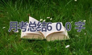 月考总结600字(13篇范文）