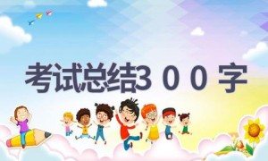 考试总结300字(12篇范文）