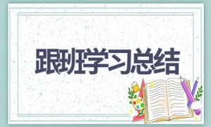 跟班学习总结(14篇范文）