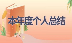 本年度个人总结(15篇范文）