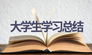 大学生学习总结(12篇范文）