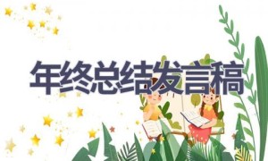 年终总结发言稿(15篇范文）