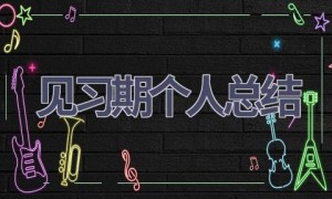 见习期个人总结(19篇范文）