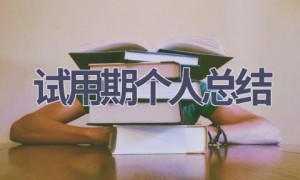试用期个人总结(18篇范文）