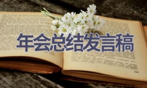 年会总结发言稿(20篇范文）