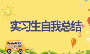 实习生自我总结(15篇范文）