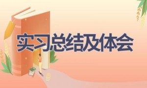 实习总结及体会(17篇范文）