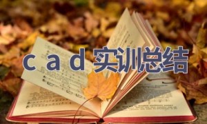 cad实训总结(8篇范文）