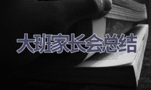 大班家长会总结(11篇范文）