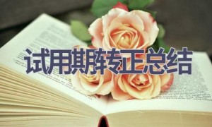 试用期转正总结(20篇范文）