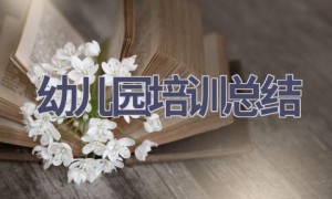幼儿园培训总结(16篇范文）