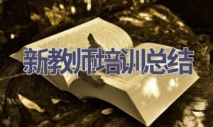 新教师培训总结(14篇范文）