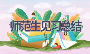 师范生见习总结(18篇范文）