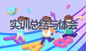 实训总结与体会(12篇范文）