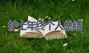 护士年终个人总结(16篇范文）
