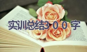 实训总结300字(16篇范文）