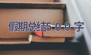假期总结500字(17篇范文）