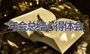 年会总结心得体会(15篇范文）