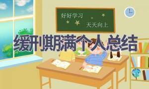 缓刑期满个人总结(10篇范文）