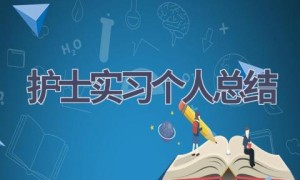 护士实习个人总结(16篇范文）