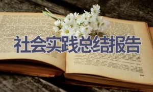社会实践总结报告(15篇范文）