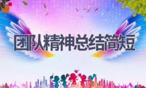 团队精神总结简短(17篇范文）
