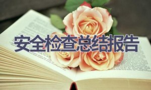 安全检查总结报告(17篇范文）