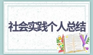 社会实践个人总结(19篇范文）