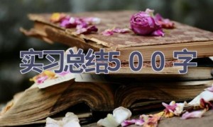 实习总结500字(18篇范文）
