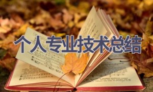 个人专业技术总结(18篇范文）
