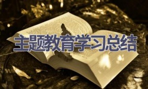 主题教育学习总结(6篇范文）