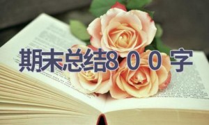 期末总结800字(8篇范文）