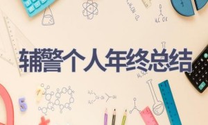 辅警个人年终总结(16篇范文）
