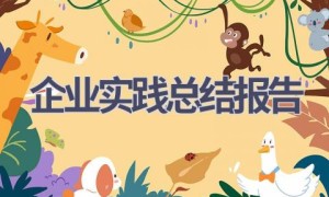 企业实践总结报告(12篇范文）