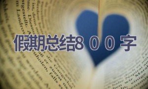 假期总结800字(17篇范文）